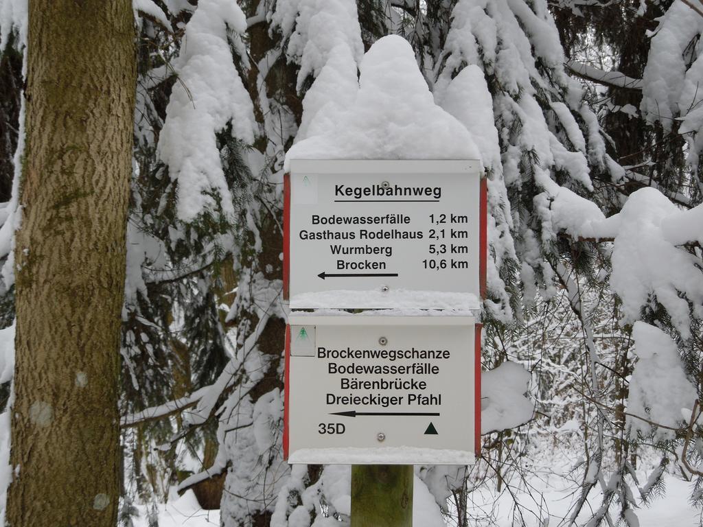 Blockhaus Bodefall Braunlage Δωμάτιο φωτογραφία
