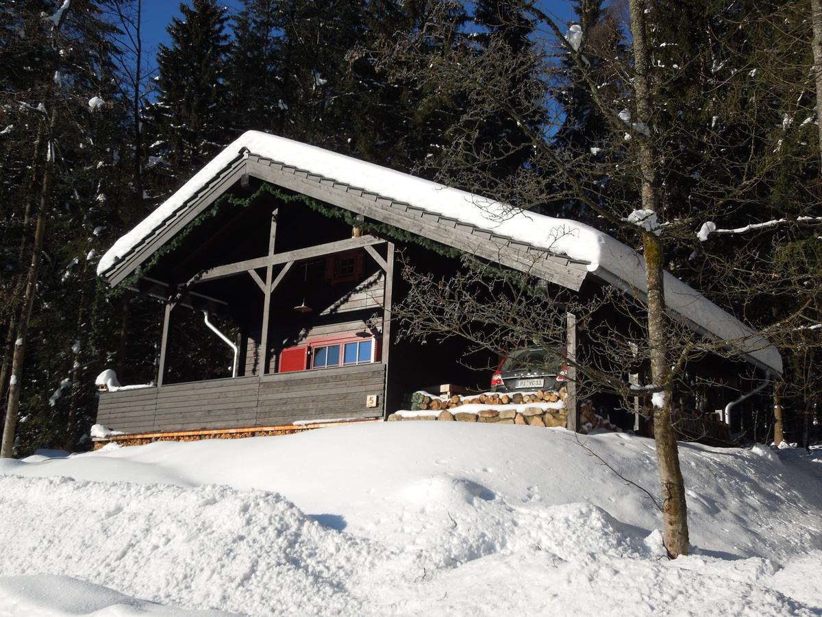 Blockhaus Bodefall Braunlage Εξωτερικό φωτογραφία