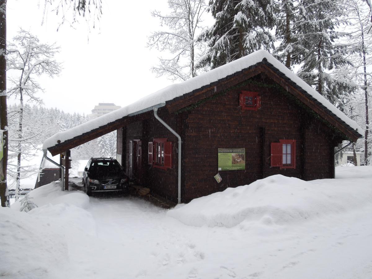 Blockhaus Bodefall Braunlage Εξωτερικό φωτογραφία